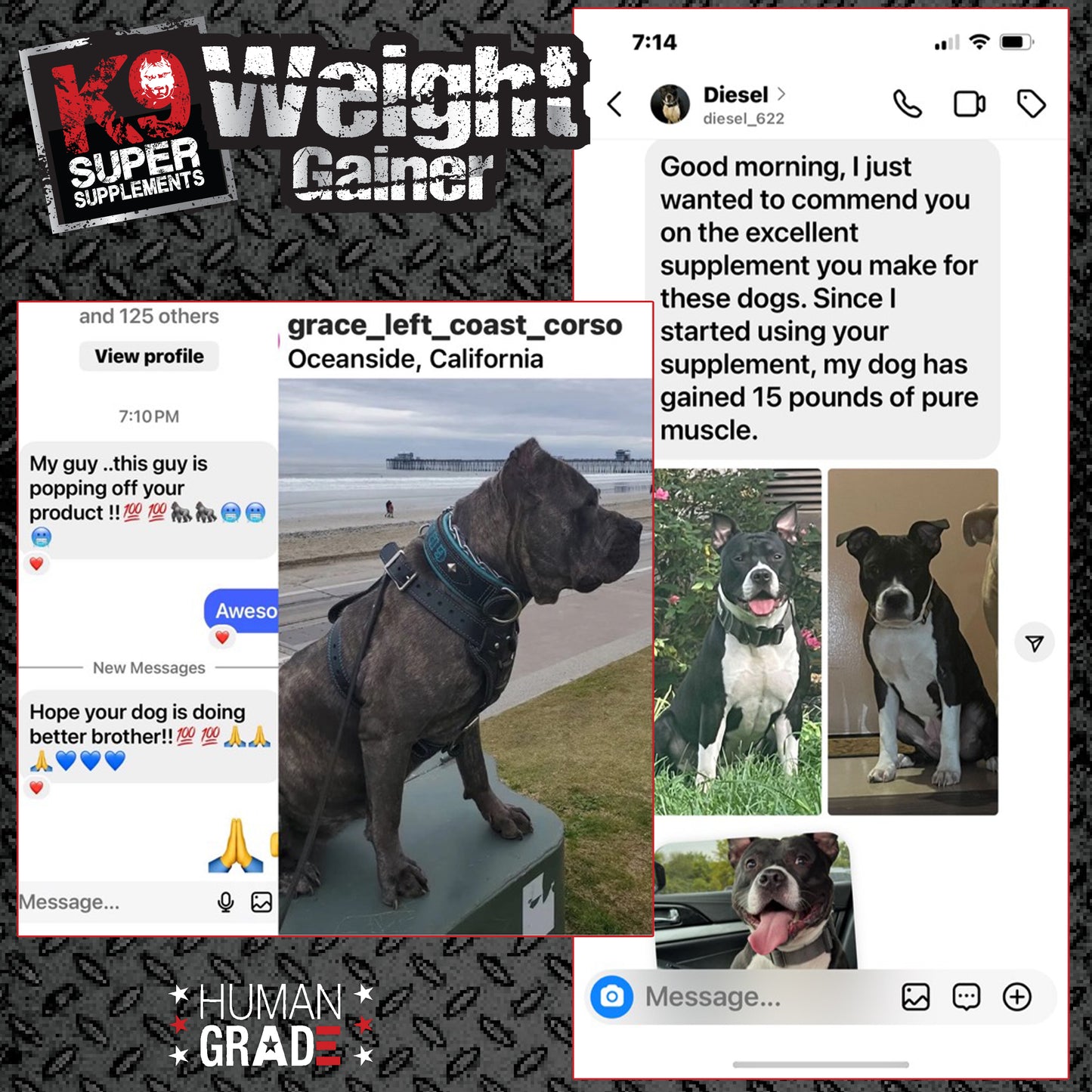 K9 Weight Gainer - 45 Servings